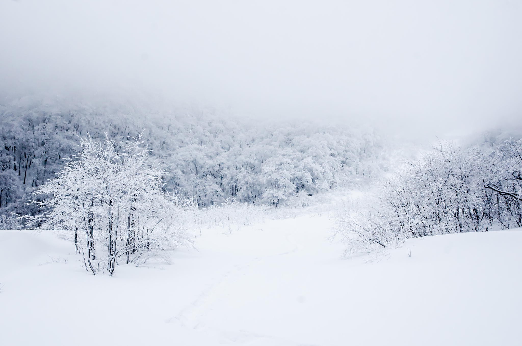 landscape, Winter, Snow Wallpaper