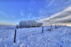 winter, Seasons, Fence, Snow, Ice, Trees, Nature, Landscape