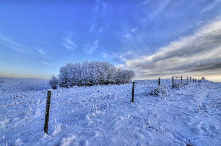 winter, Seasons, Fence, Snow, Ice, Trees, Nature, Landscape HD Wallpaper Desktop Background