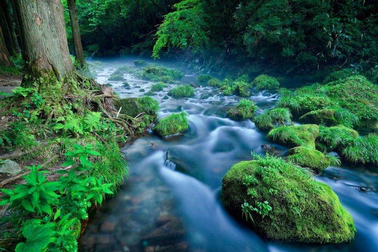 river, Nature, Landscape, Water, Green, Plants HD Wallpaper Desktop Background