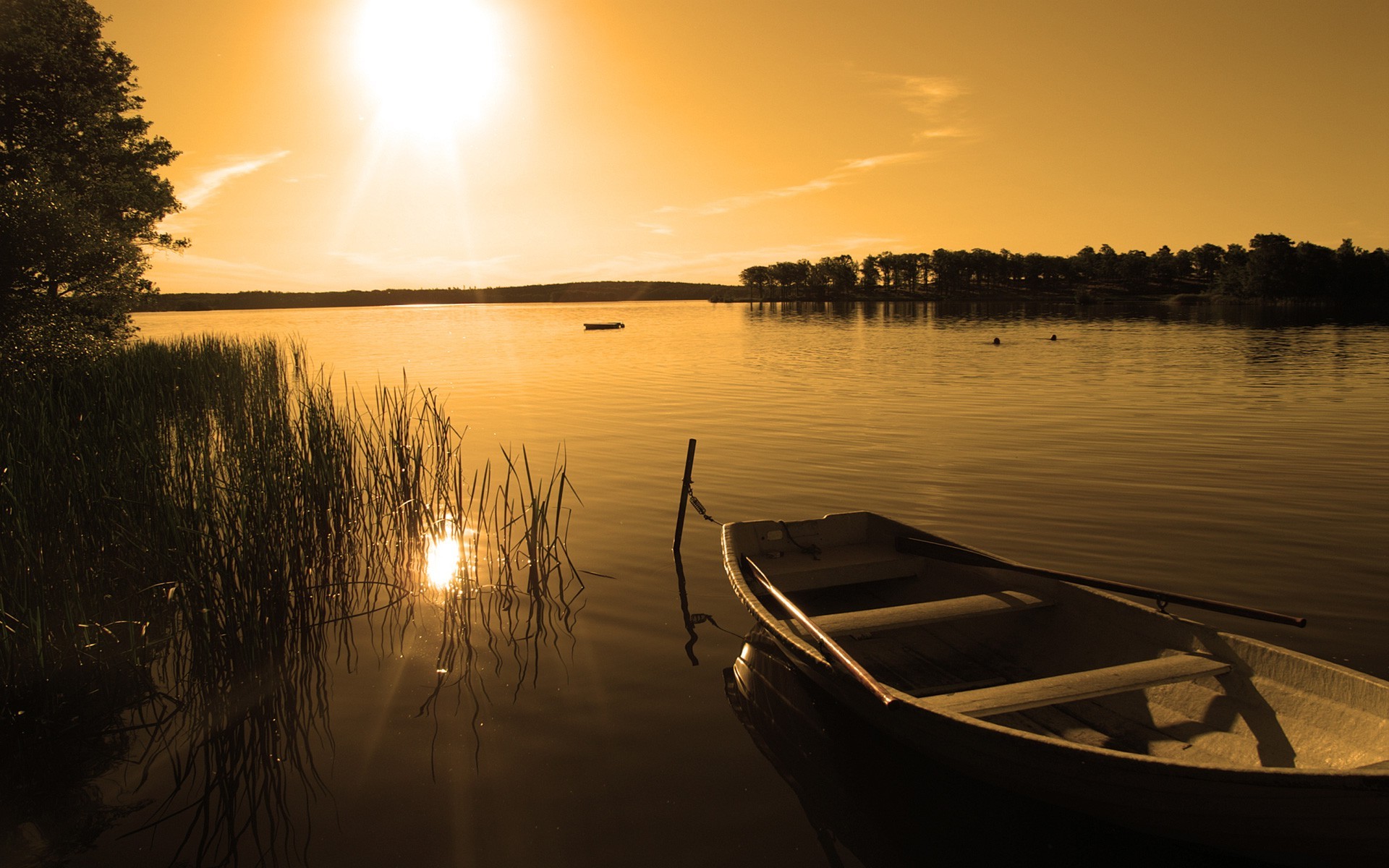 photography, Landscape, Nature, Plants, Water, Sunset, Sunlight, Lake, Reeds, Boat Wallpaper