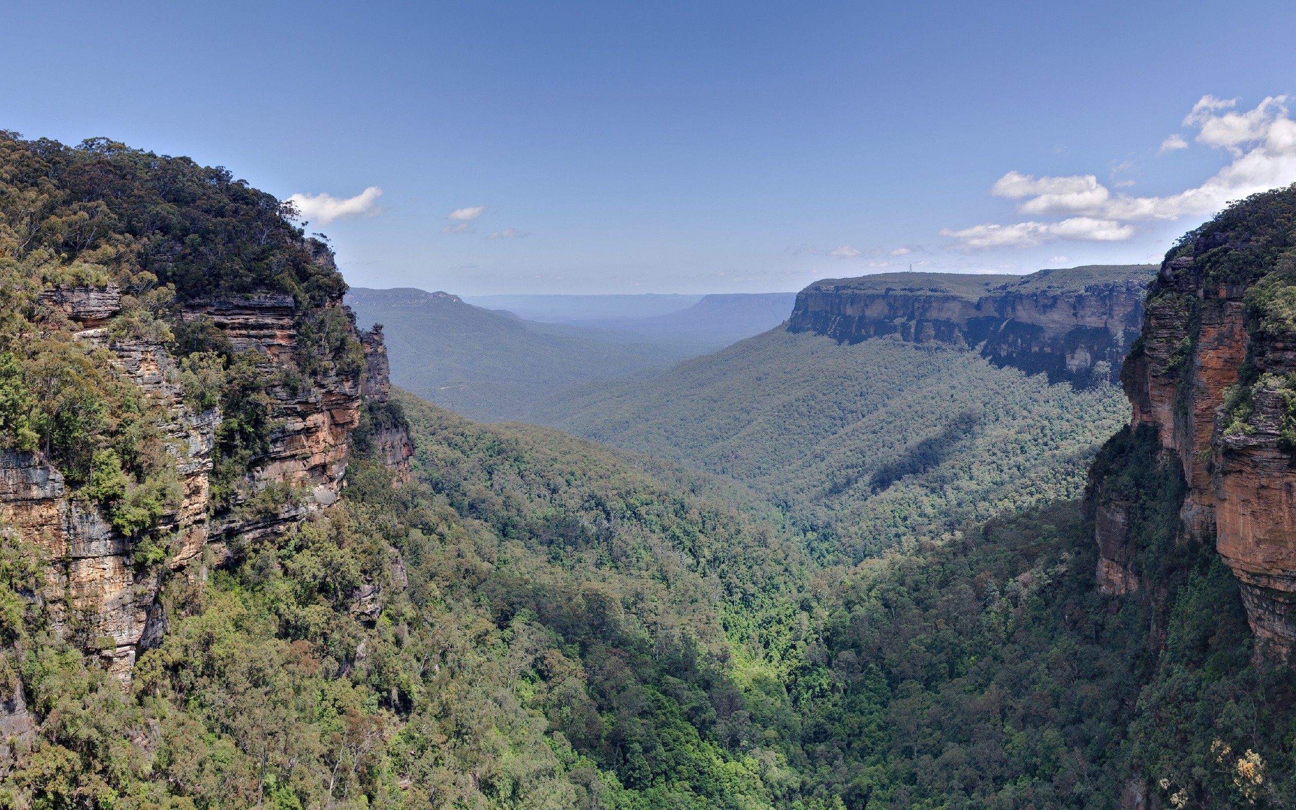 photography, Landscape, Nature, Plants, Valley, Cliff, Australia Wallpaper