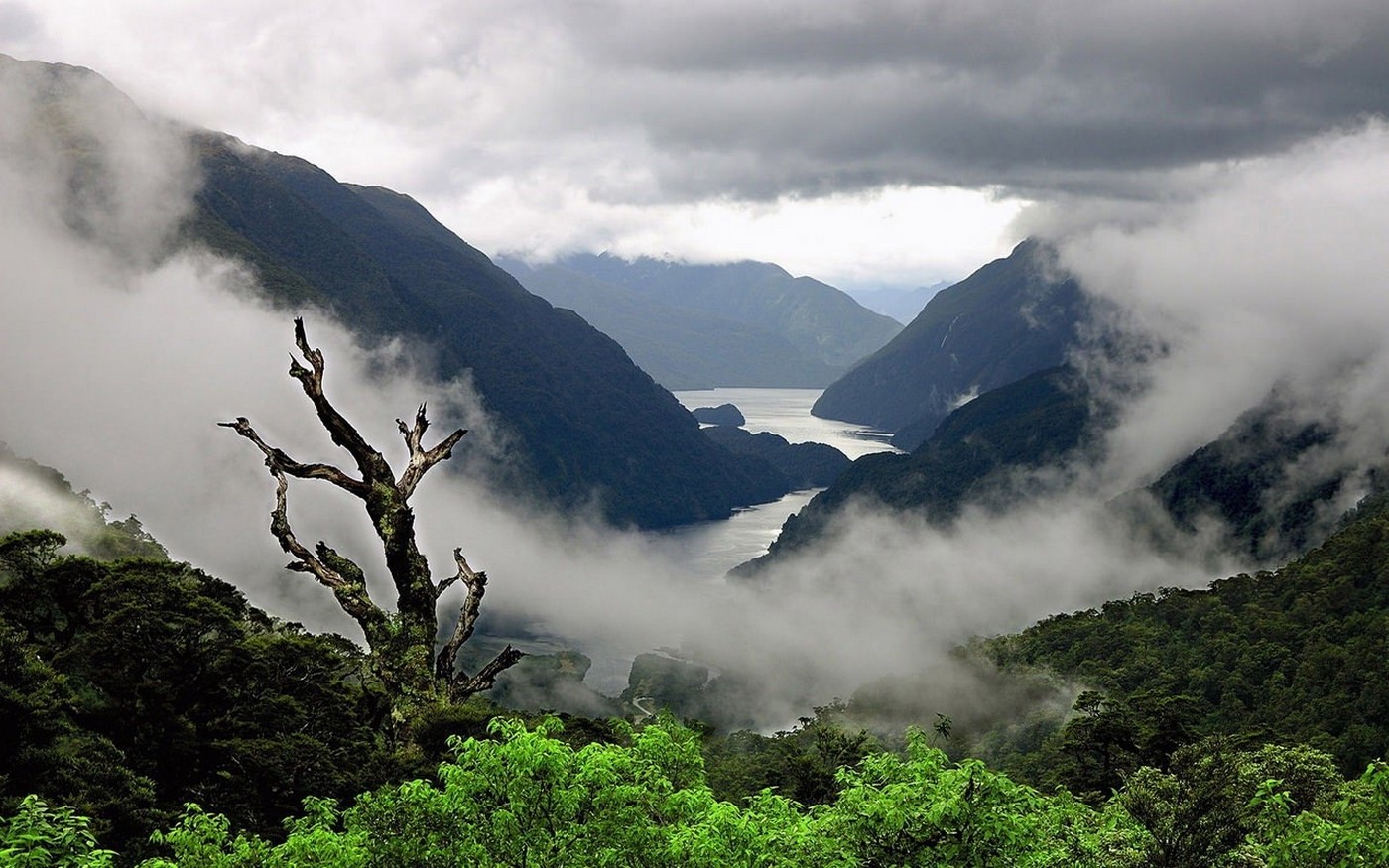 nature, Mist, Landscape, Fjord, Mountain, Trees, Shrubs, Overcast Wallpaper
