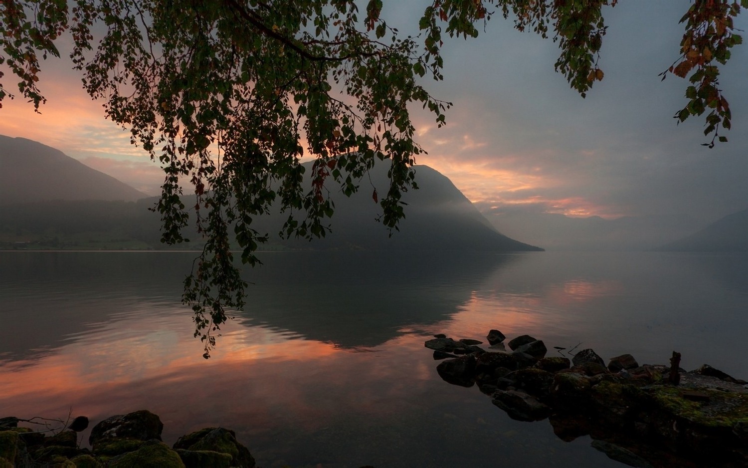 nature, Landscape, Lake, Mountain, Sunrise, Trees, Calm, Mist, Atmosphere, Reflection Wallpaper