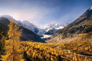 nature, Landscape, Mountain, Forest, Fall, Snowy Peak, Valley, Yellow, Trees, Sunlight, Morning