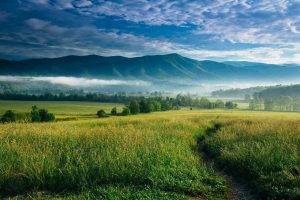 nature, Landscape, Mountain, Sunrise, Mist, Valley, Trees, Clouds, North Carolina