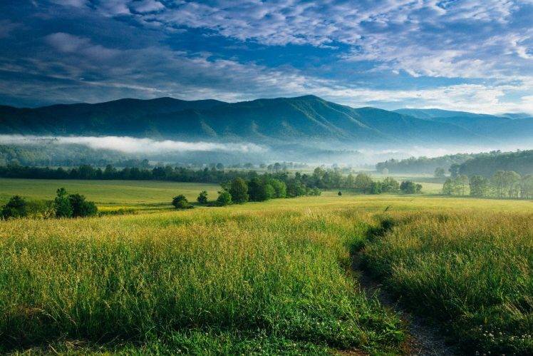nature, Landscape, Mountain, Sunrise, Mist, Valley, Trees, Clouds, North Carolina HD Wallpaper Desktop Background