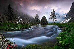 nature, Landscape, River, Mountain, Mist, Trees, Shrubs, Wildflowers, Alps, Long Exposure, Italy