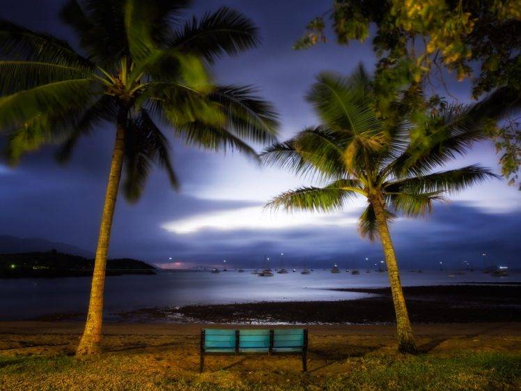 landscape, Nature, Harbor, Palm Trees, Bench, Evening, Sailing Ship, Lights, Coast, Hill, Sea, Australia HD Wallpaper Desktop Background