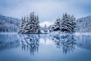 landscape, Nature, Lake, Forest, Hill, Overcast, Reflection, Winter, Cold, Snow, Pine Trees, Calm
