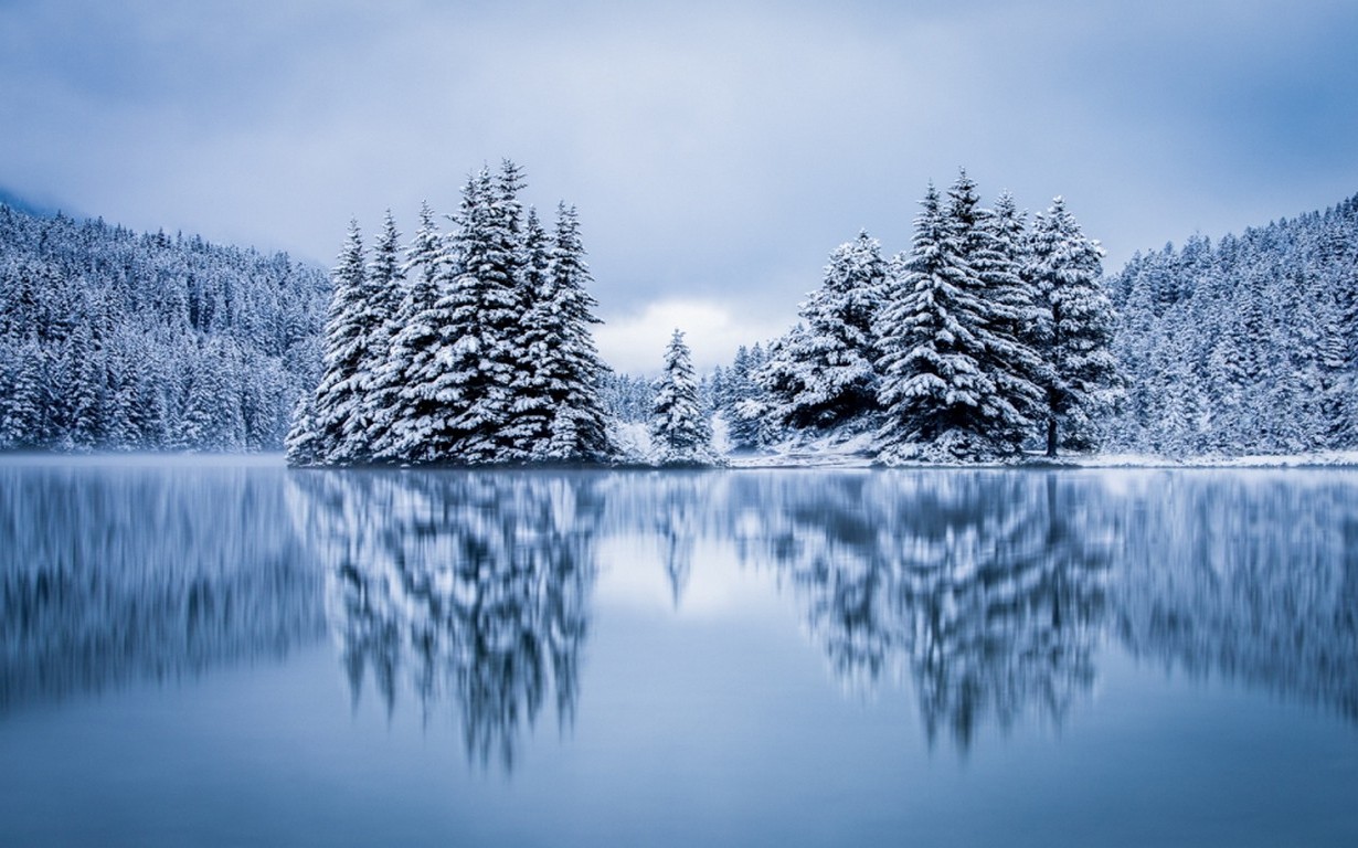 Winter Landscape Lake Reflection Pine Forest Trees With Snow White