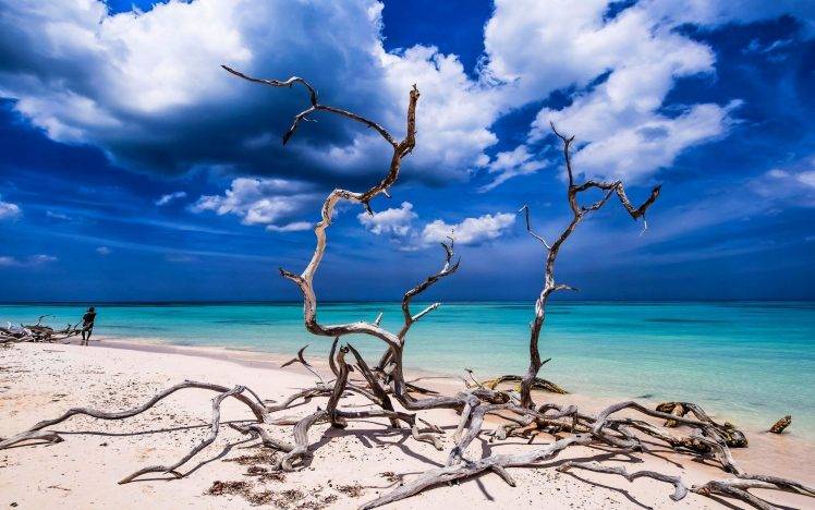 landscape, Nature, Beach, Sand, Tropical, Sea, Sky, Turquoise, Caribbean,  Water, Clouds, Dead Trees, Cuba Wallpapers HD / Desktop and Mobile  Backgrounds