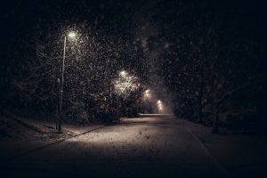 landscape, Nature, Street Light, Snow, Trees, Night, Urban, Shrubs, Calm, Winter