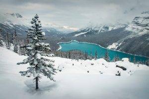 landscape, Nature, Winter, Lake, Snow, Mountain, Forest, Turquoise, Water, Banff National Park, Canada