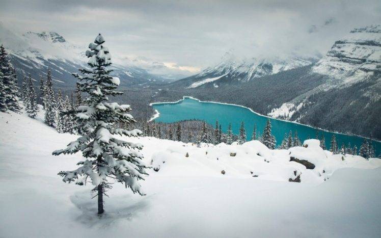 landscape, Nature, Winter, Lake, Snow, Mountain, Forest, Turquoise, Water, Banff National Park, Canada HD Wallpaper Desktop Background