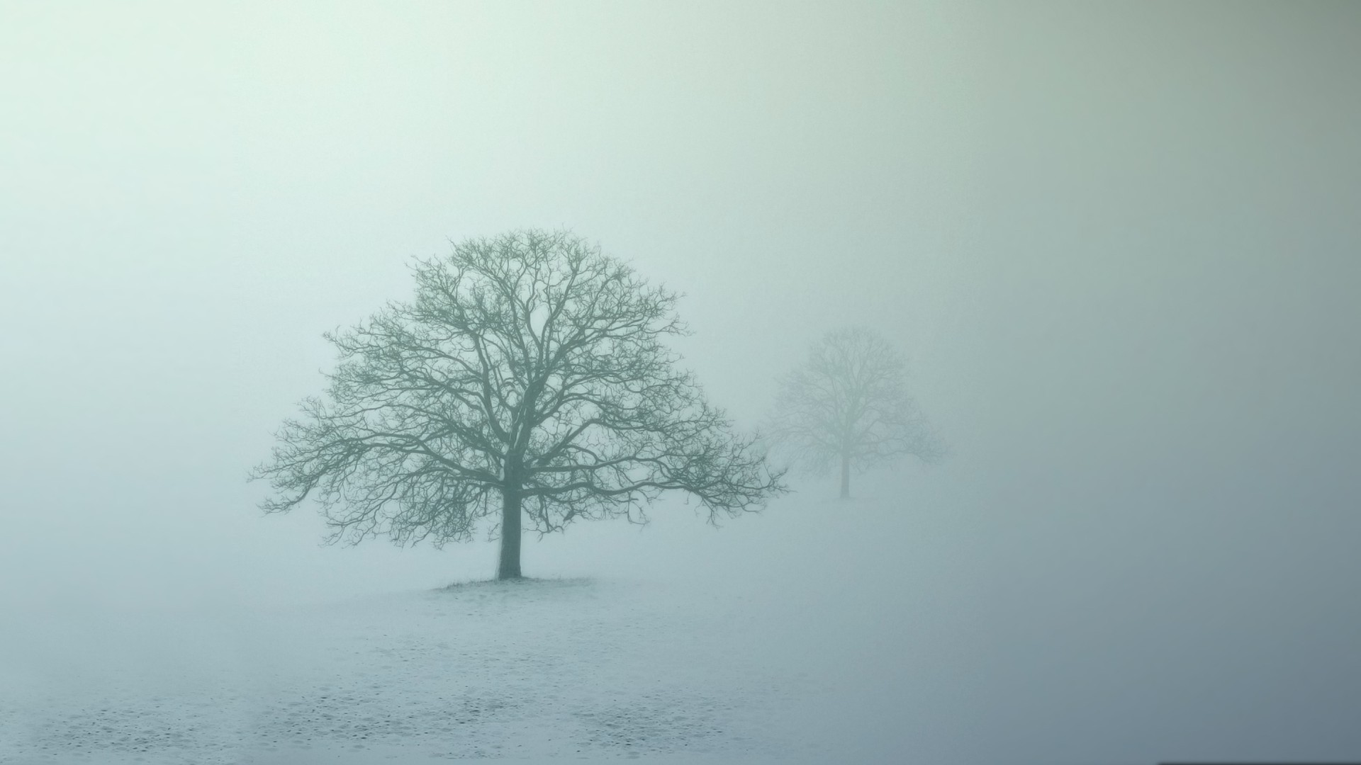 photography, Nature, Landscape, Trees, Mist, Snow, Winter Wallpaper