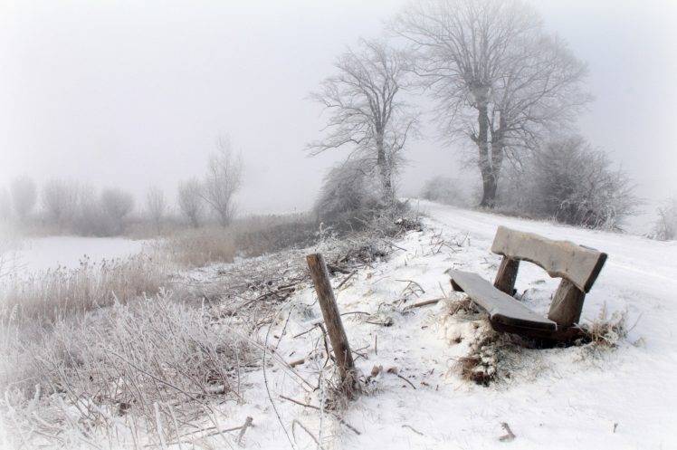 winter, Bench, Snow, Trees, Seasons, Landscape HD Wallpaper Desktop Background