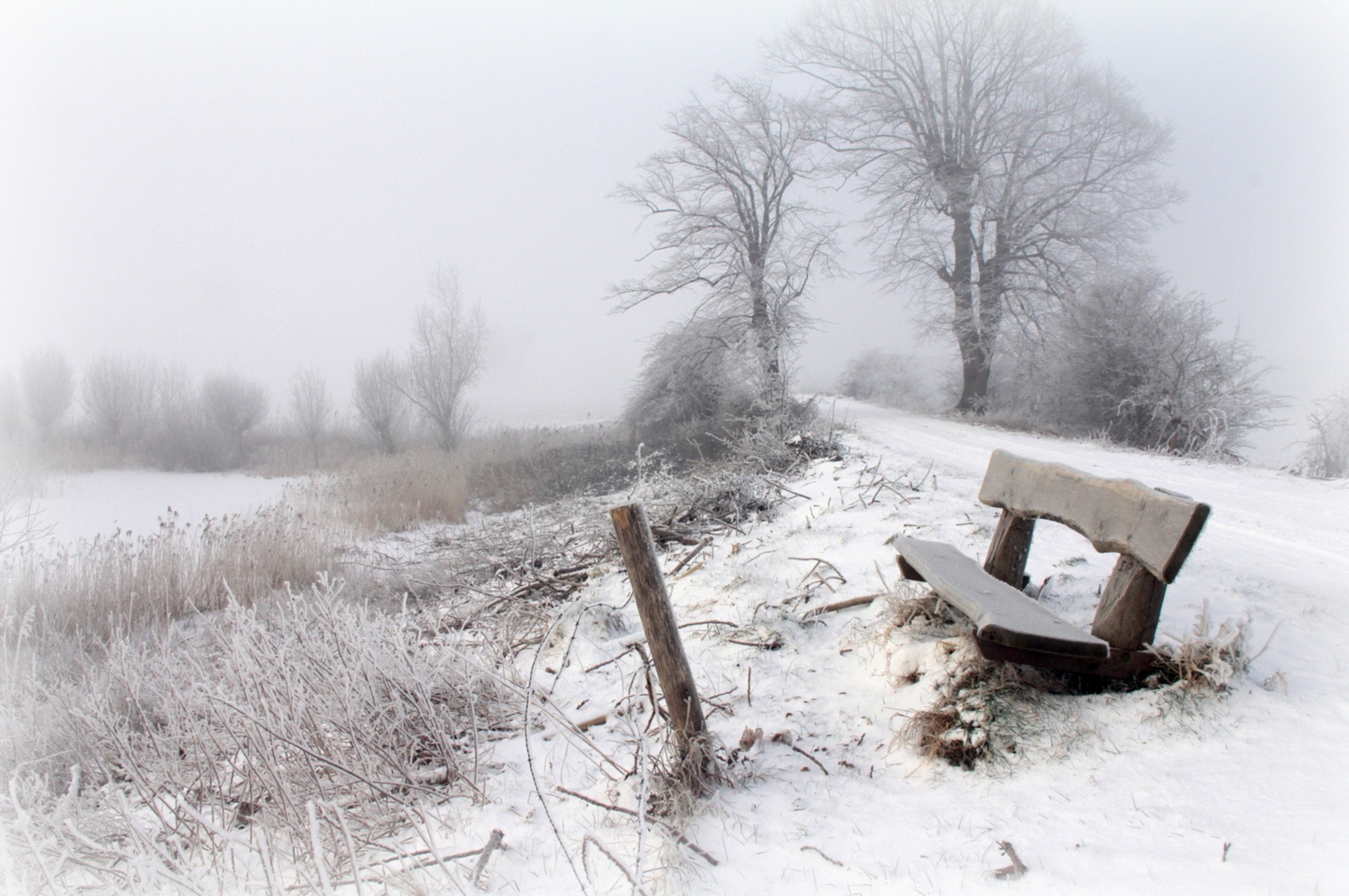 winter, Bench, Snow, Trees, Seasons, Landscape Wallpaper