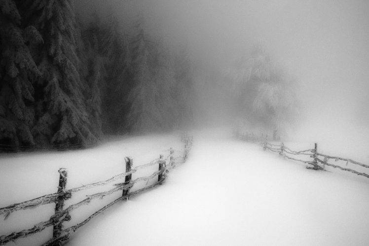 landscape, Nature, Winter, Morning, Snow, Forest, Fence, Cold, Monochrome, Road, Path, Trees, Daylight, Mist HD Wallpaper Desktop Background
