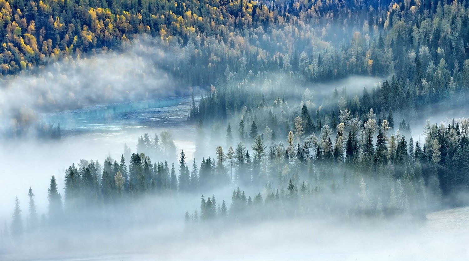 landscape, Nature, Mist, River, Forest, Fall, Morning, Trees, Sunlight, China Wallpaper