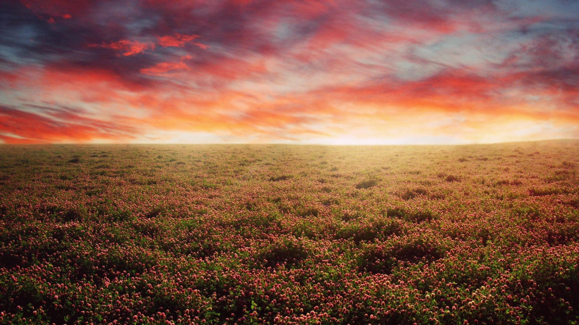 landscape Wallpaper