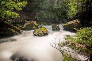 long Exposure, Stream, Waterfall, Forest, Landscape