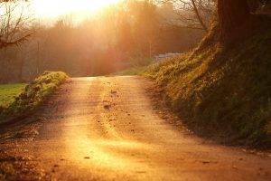 road, Landscape, Sunlight, Path, Nature