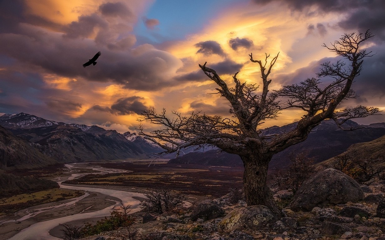 nature, Landscape, Trees, Condors, Birds, Sunset, River, Valley, Mountains, Sunlight, Clouds, Patagonia, Argentina Wallpaper