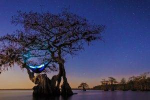 nature, Landscape, Hammocks, Cypress, Trees, Lake, Starry Night, Florida