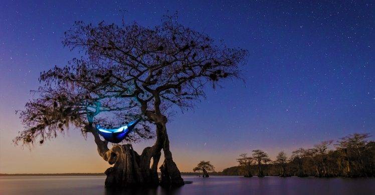 nature, Landscape, Hammocks, Cypress, Trees, Lake, Starry Night, Florida HD Wallpaper Desktop Background