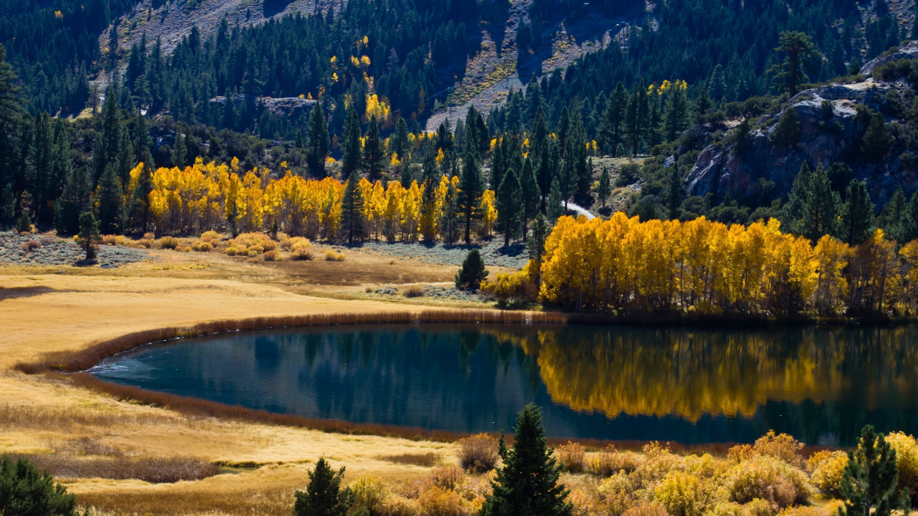 nature, Lake, Reflection, Trees, Colorful, Landscape Wallpaper