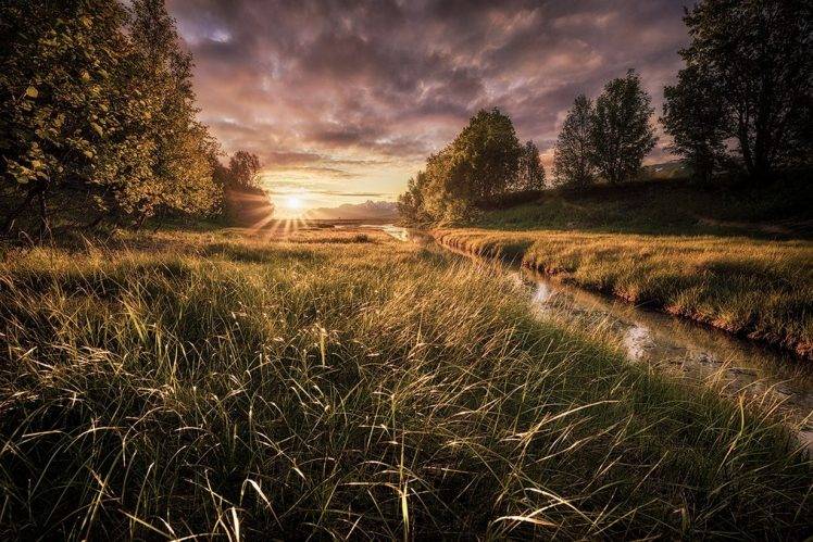 landscape, Nature, Summer, Midnight, Sun Rays, Trees, Grass, Sunset, Sky, Clouds, River, Norway HD Wallpaper Desktop Background