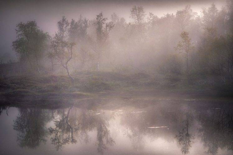 nature, Landscape, Mist, Lake, Sunrise, Forest, Water, Reflection, Trees HD Wallpaper Desktop Background