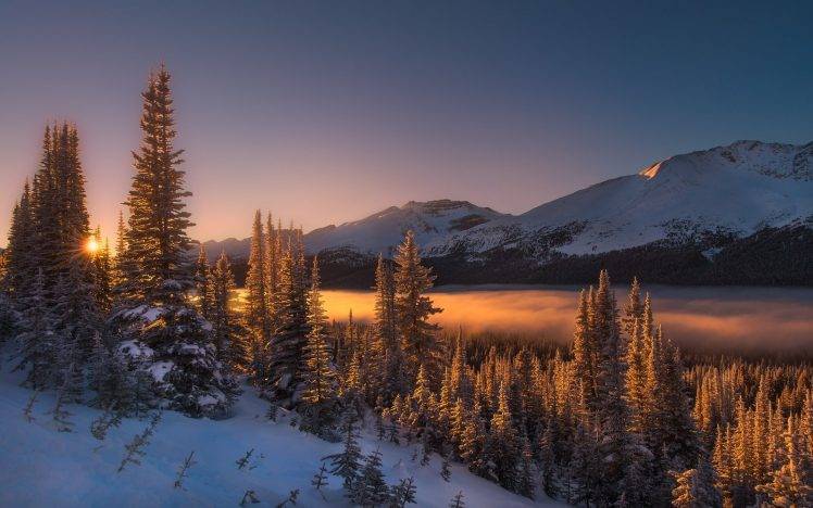 nature, Landscape, Winter, Sunrise, Mist, Mountains, Forest, Snow, Trees, Morning, Sunlight, Cold HD Wallpaper Desktop Background