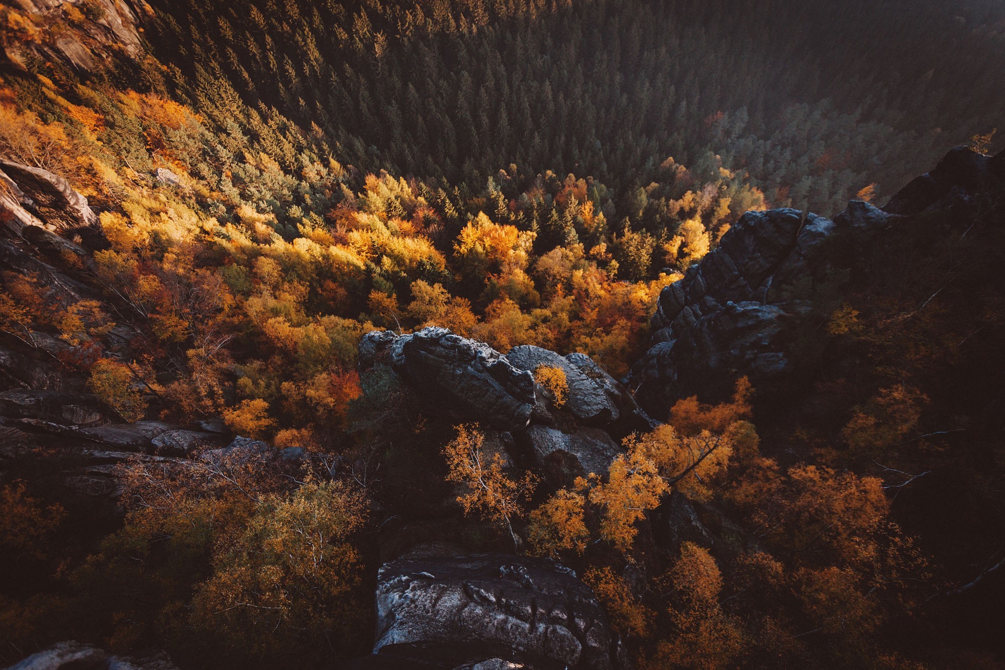 landscape, Nature, Trees, Aerial View, Forest, Fall, Switzerland, Saxony Wallpaper