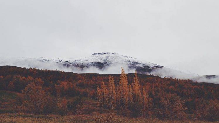 landscape, Mountains, Forest, Clouds HD Wallpaper Desktop Background