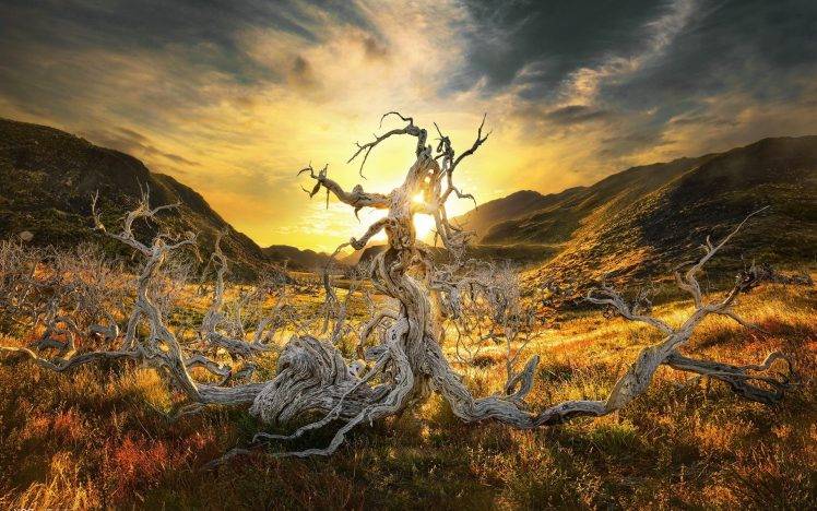 sunlight, Landscape, Nature HD Wallpaper Desktop Background