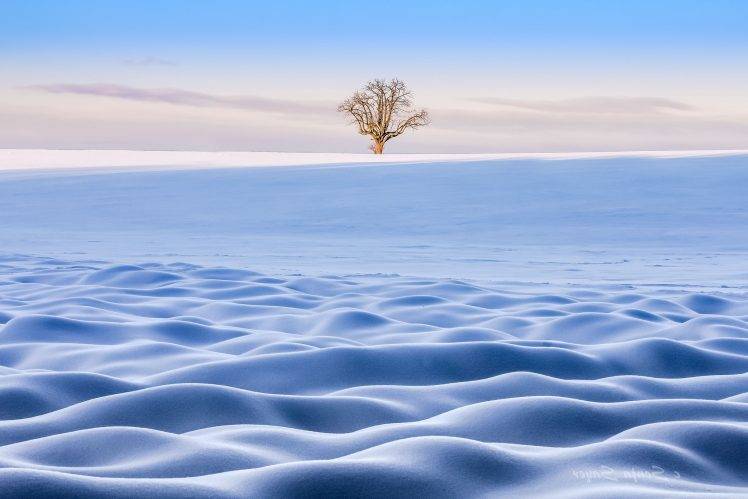 winter, Snow, Landscape, Trees HD Wallpaper Desktop Background