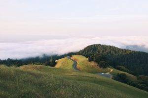 nature, Landscape, Trees, Clouds, Forest, Road, Hills, Grass, Field