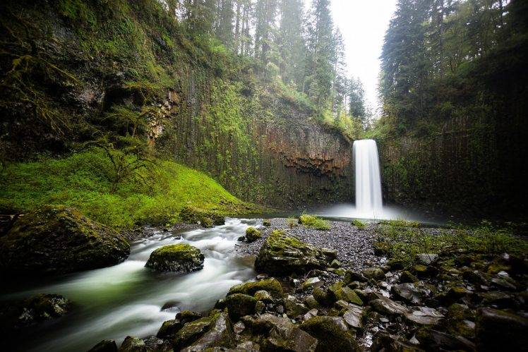 nature, Waterfall, Rock, Moss, Forest, Landscape, Rock Formation, Oregon HD Wallpaper Desktop Background