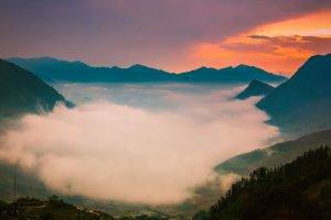 photography, Landscape, Nature, Mist, Valley, Sunrise, Mountains, Trees, Pink, Sky