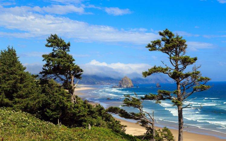 landscape, Nature, Photography, Morning, Beach, Sea, Sand, Trees, Hills, Shrubs, Oregon HD Wallpaper Desktop Background