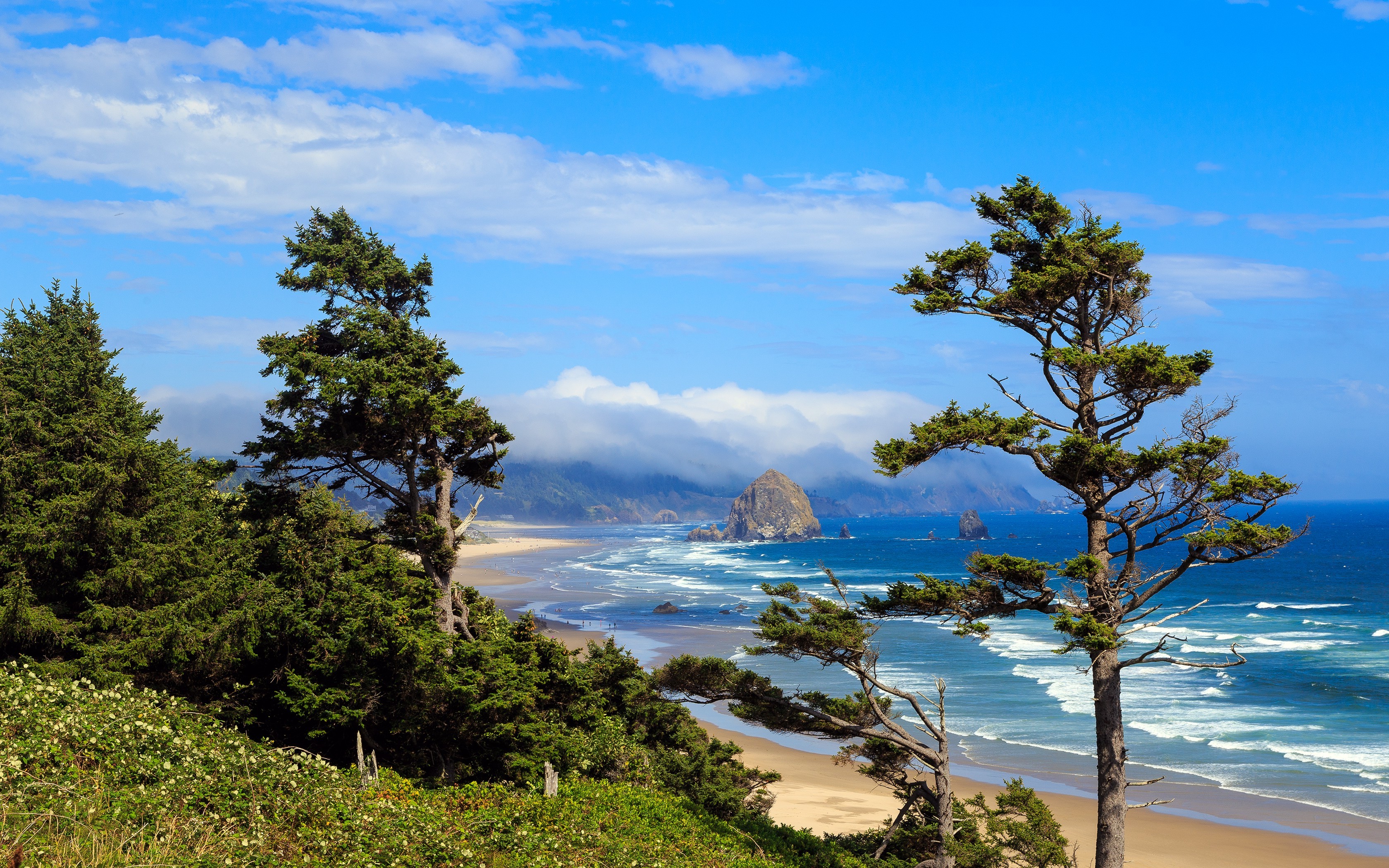 landscape, Nature, Photography, Morning, Beach, Sea, Sand, Trees, Hills, Shrubs, Oregon Wallpaper