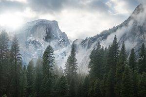 nature, Landscape, Yosemite National Park