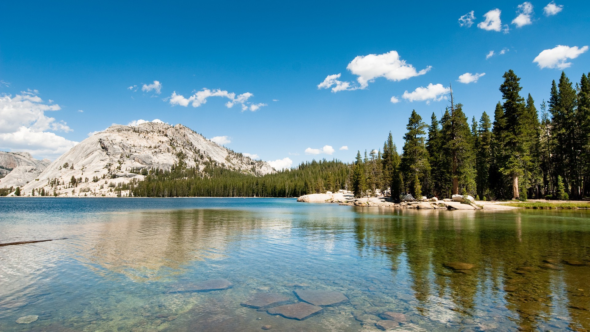 Landscape Nature Lake Hills Forest Pine Trees Yosemite National