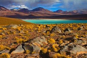 nature, Landscape, Photography, Lake, Shrubs, Mountains, Atacama Desert, Chile