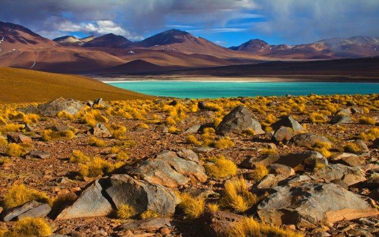 nature, Landscape, Photography, Lake, Shrubs, Mountains, Atacama Desert, Chile HD Wallpaper Desktop Background
