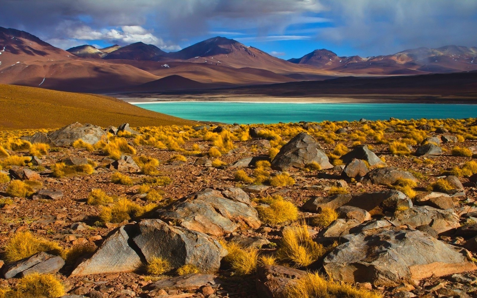 nature, Landscape, Photography, Lake, Shrubs, Mountains, Atacama Desert, Chile Wallpaper