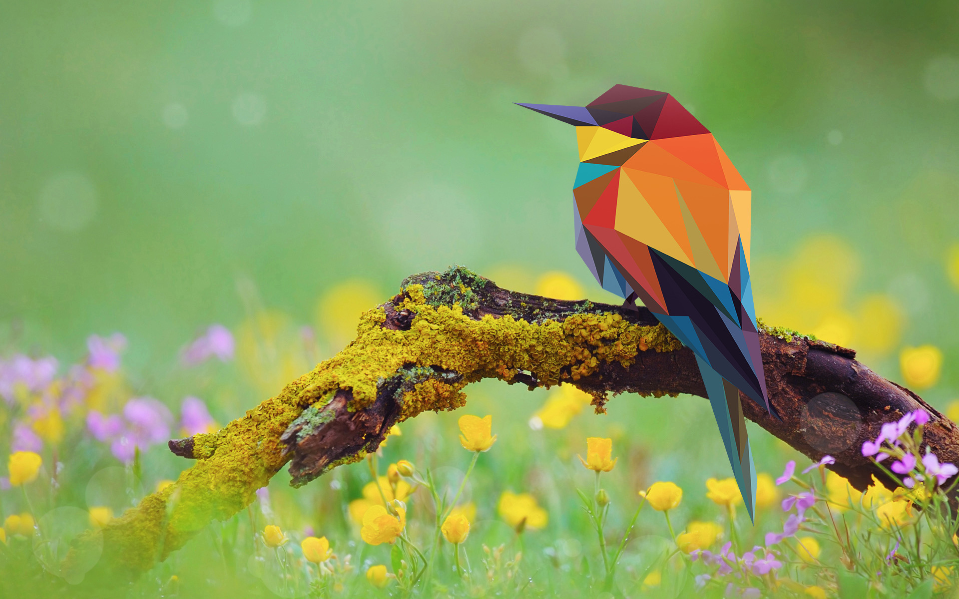 bee eaters, Birds, Branch, Moss, Flowers, Low Poly Wallpaper
