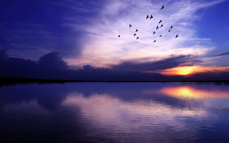 lake, Birds, Sunset, Sea HD Wallpaper Desktop Background
